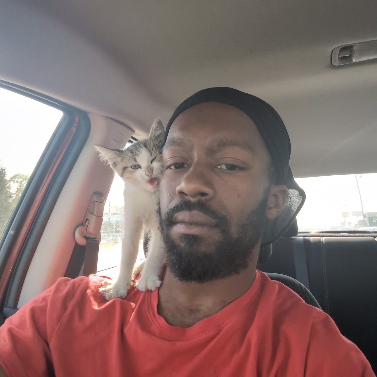My girl is gonna beat my ass if I bring another animal home and he just doesn't seem to care....