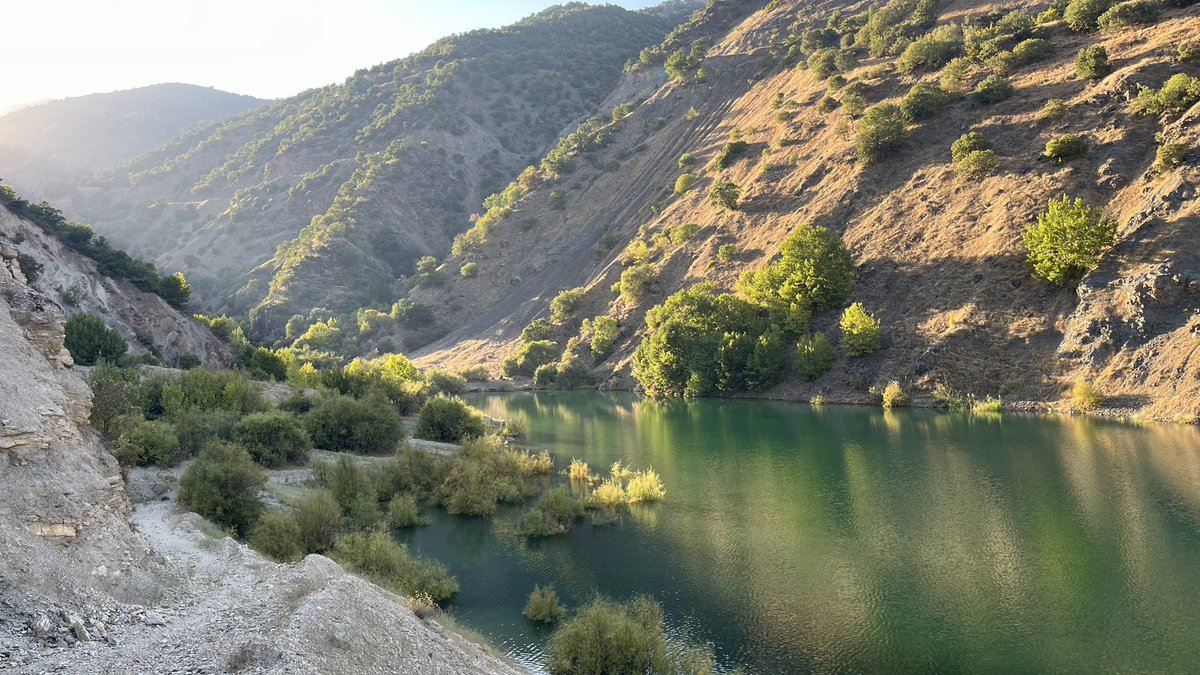 İyi akşamlar