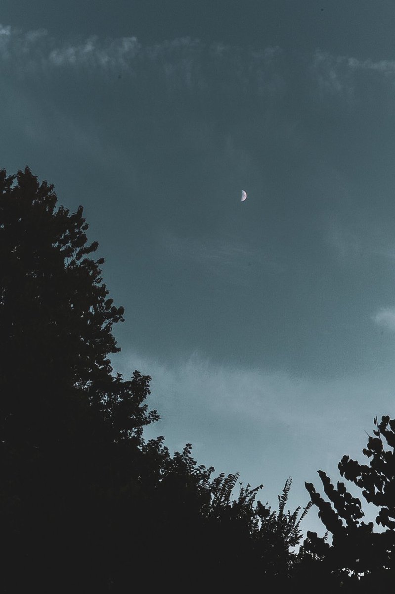 ThePoetzPen's tweet photo. Grabbed a few of the moon the other night. https://t.co/d5P8Yepvkd