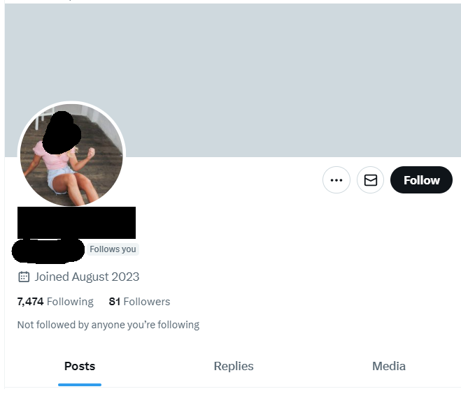 GreatStrides65's tweet photo. Here's a #weirdthing. Every 2-3 days I gain a new follower. Typically, they:
* Joined @X in the summer of 2023
* Follow around 7,000-8,000 people (but sometimes half that number)
* Have never posted
* Are female
Is @elonmusk's @X overrun with bots? https://t.co/G6ID8pUNBh