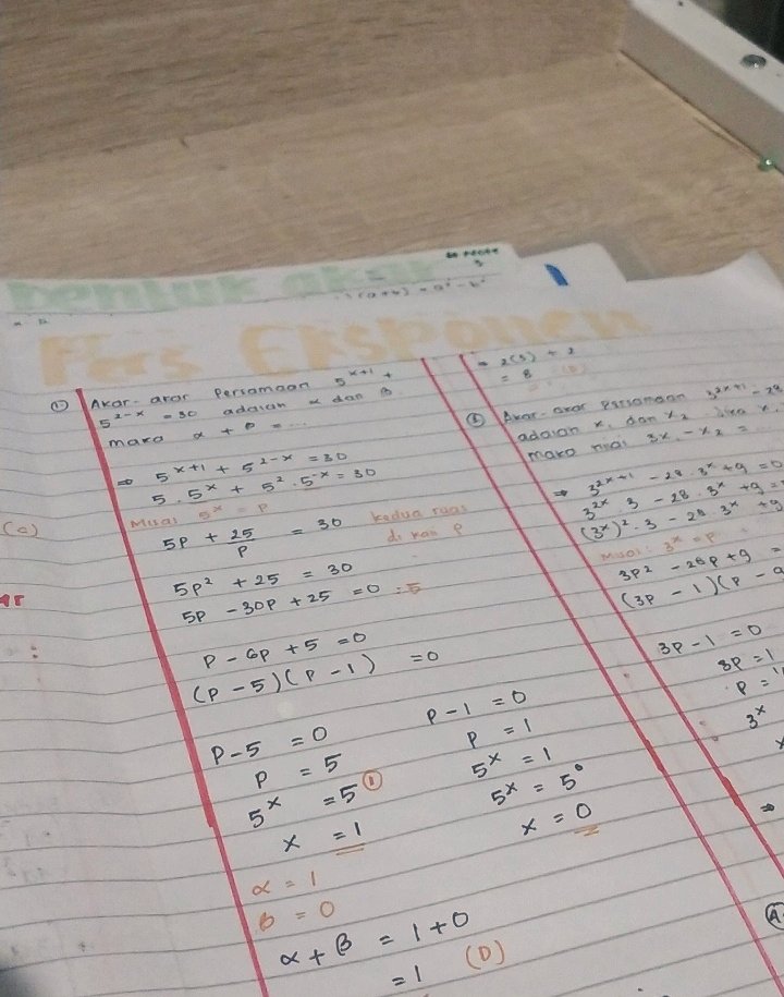 sasa ʕ　·ᴥ·ʔ tweet media