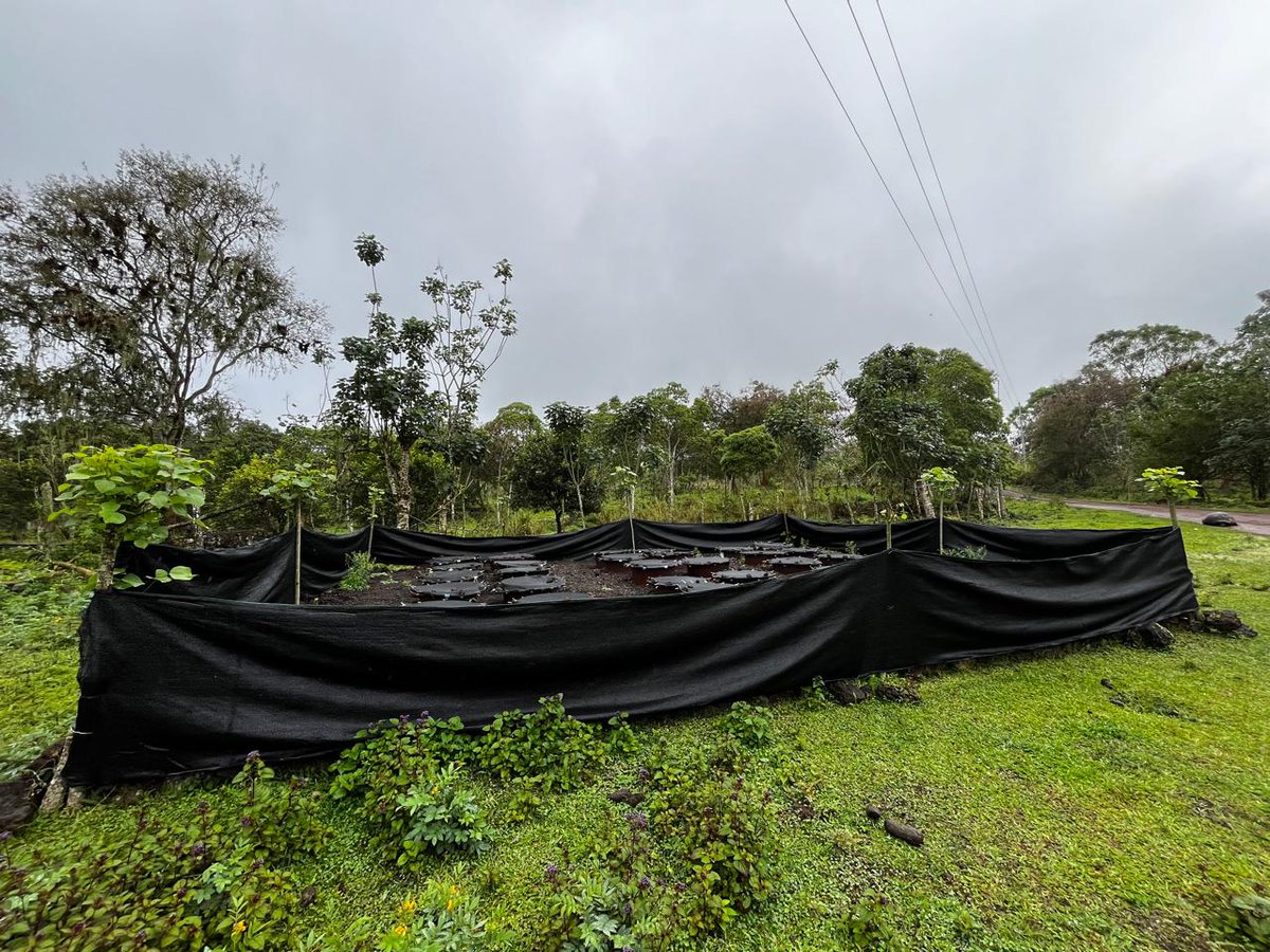 Prof. Carlos López, Ph.D. (@oikossokio) on Twitter photo Excelente reunión de acercamiento para colaboración en estudios de charcas y pozas de agua dulce de #Galápagos entre investigadores de #ESPOLGalápagos <a href="/espol/">ESPOL</a>, <a href="/DarwinFound/">Charles Darwin Foundation-Fundación Charles Darwin</a>, <a href="/UFPBoficial/">UFPB</a> y <a href="/PUCE_Ecuador/">PUCE Ecuador</a>. <a href="/luzmasoto/">Dra Luz Soto</a>
<a href="/Lucianagbarbos1/">Lucianagbarbosa</a> <a href="/CarlosMonsalveA/">Carlos Monsalve</a> <a href="/aramirez1979/">Angel Ramirez</a> <a href="/cparedesverduga/">Cecilia Paredes Verduga</a> Excelente reunión de acercamiento para colaboración en estudios de charcas y pozas de agua dulce de #Galápagos entre investigadores de #ESPOLGalápagos <a href="/espol/">ESPOL</a>, <a href="/DarwinFound/">Charles Darwin Foundation-Fundación Charles Darwin</a>, <a href="/UFPBoficial/">UFPB</a> y <a href="/PUCE_Ecuador/">PUCE Ecuador</a>. <a href="/luzmasoto/">Dra Luz Soto</a>
<a href="/Lucianagbarbos1/">Lucianagbarbosa</a> <a href="/CarlosMonsalveA/">Carlos Monsalve</a> <a href="/aramirez1979/">Angel Ramirez</a> <a href="/cparedesverduga/">Cecilia Paredes Verduga</a>