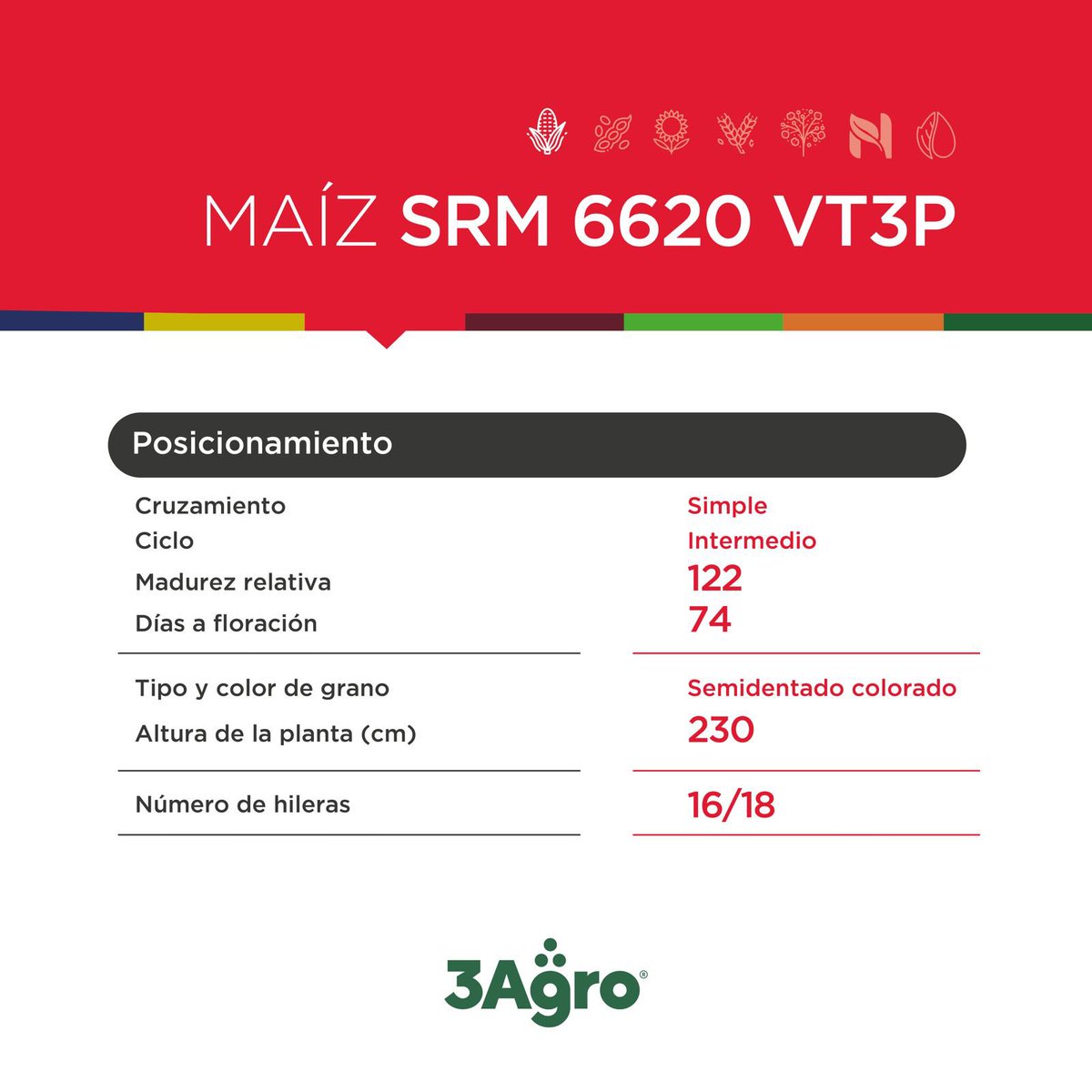 3agro's tweet photo. 🌽𝗠𝗔𝗜𝗭 𝗦𝗥𝗠 𝟲𝟲𝟮𝟬 𝗩𝗧𝟯𝗣

🔝🔥Estabilidad y potencial en todos los ambientes.

@lgsemillas 

#3agro #lgsemillas #maízlg https://t.co/MLNSZaAKmL