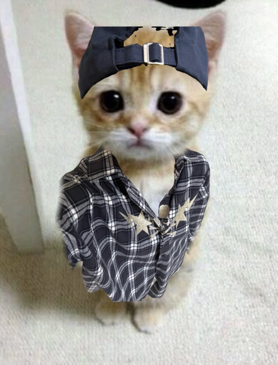 ujiminphoria's tweet photo. https://t.co/vYP436CYuW