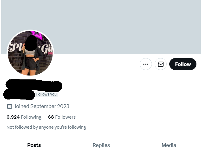 GreatStrides65's tweet photo. Here's a #weirdthing. Every 2-3 days I gain a new follower. Typically, they:
* Joined @X in the summer of 2023
* Follow around 7,000-8,000 people (but sometimes half that number)
* Have never posted
* Are female
Is @elonmusk's @X overrun with bots? https://t.co/G6ID8pUNBh