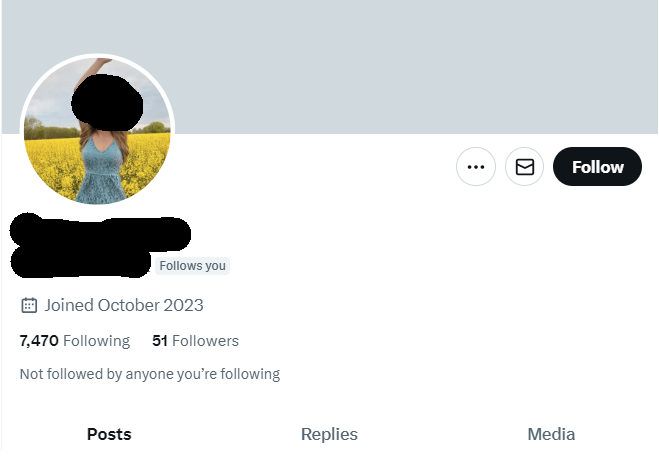 GreatStrides65's tweet photo. Here's a #weirdthing. Every 2-3 days I gain a new follower. Typically, they:
* Joined @X in the summer of 2023
* Follow around 7,000-8,000 people (but sometimes half that number)
* Have never posted
* Are female
Is @elonmusk's @X overrun with bots? https://t.co/G6ID8pUNBh