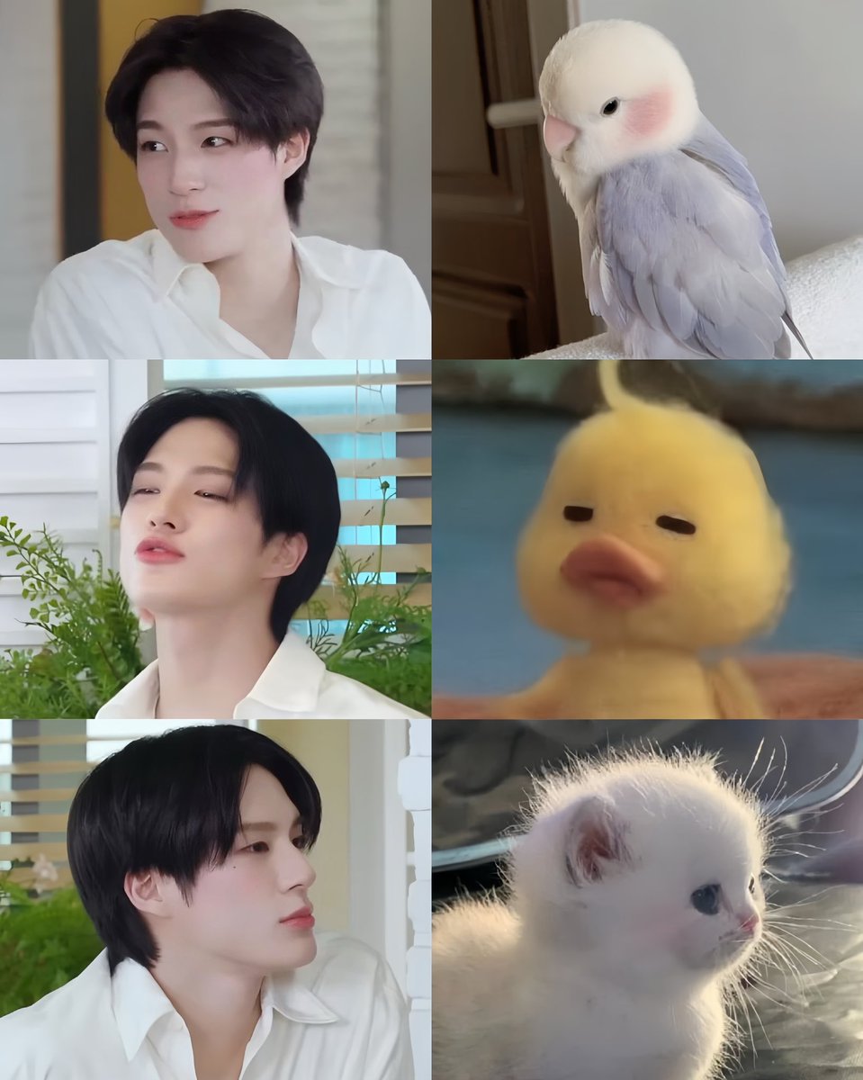 วันนี้น้องเจนเหมือนสิ่งน่ารักไปแล้วกี่อย่าง