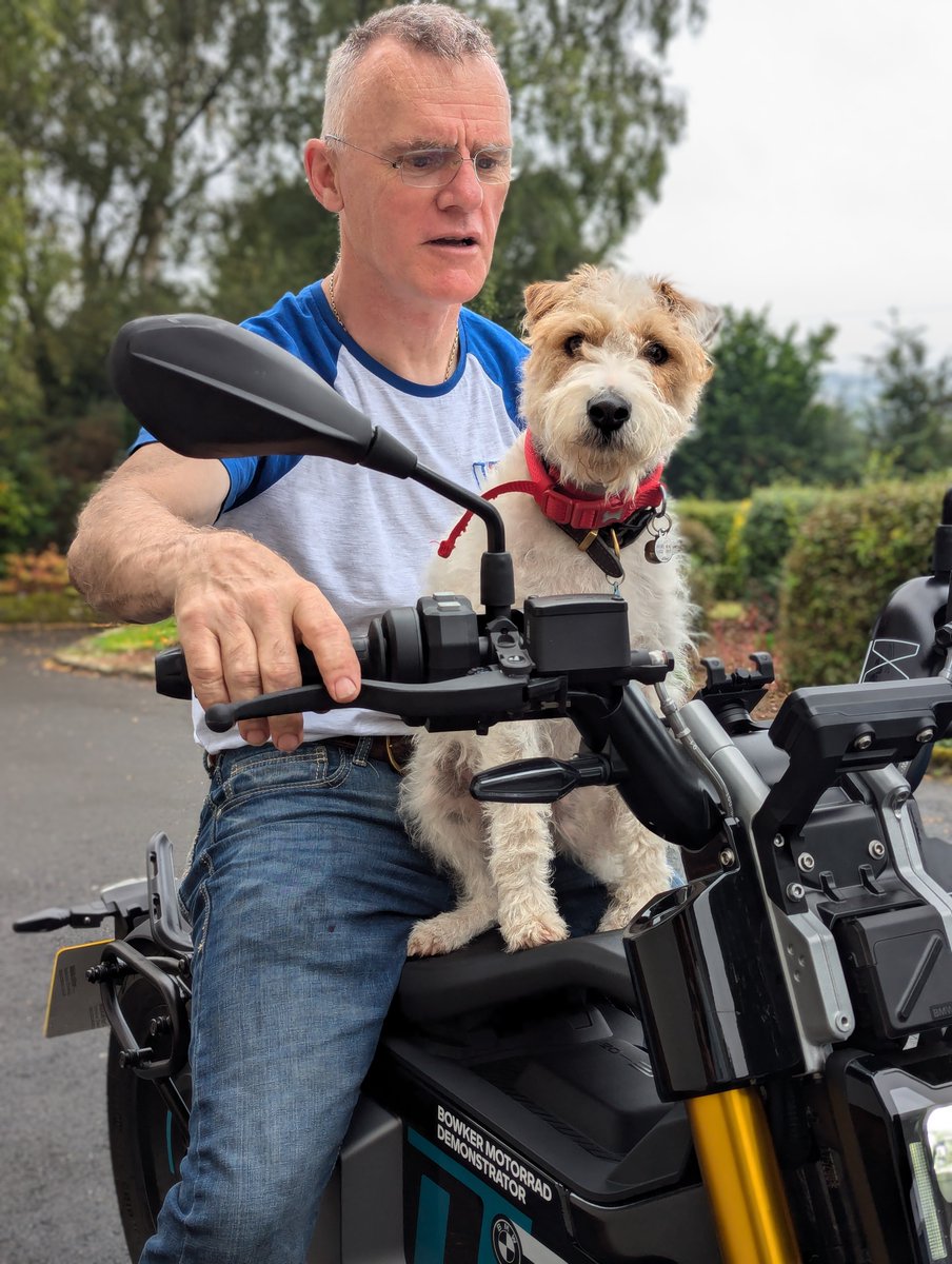no1bloke's tweet image. Josh says "Come on Bloke let's ride" The great BMW #CE02 everyone just wants to climb onboard #PluggedToLife #bmwmotorraduk #bmwmotorrad #bowkermotorrad #twitterdogs #dog #kickstart #ogri #urban #mobility #trend #visualart #rulebreaker #revolutionary #iconic #eyecatching #stylish