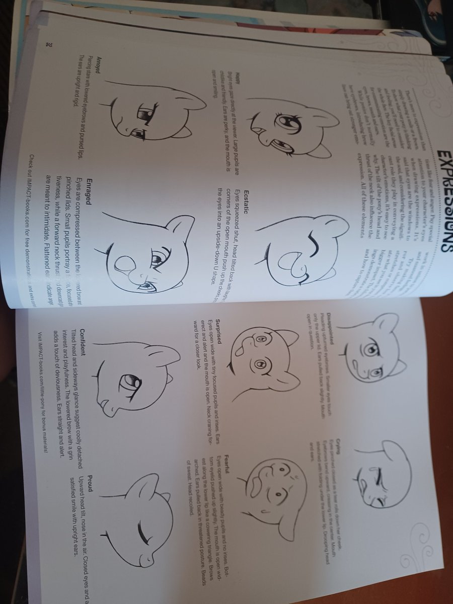 MsColorsplash's tweet photo. It's hard to show everything but I picked some of my favs, and ones that seem super helpful! don't get me wrong this book actually has alot of great advice that I honestly may start using myself. Go support the author @lcibos ! https://t.co/txqzFhBdLG