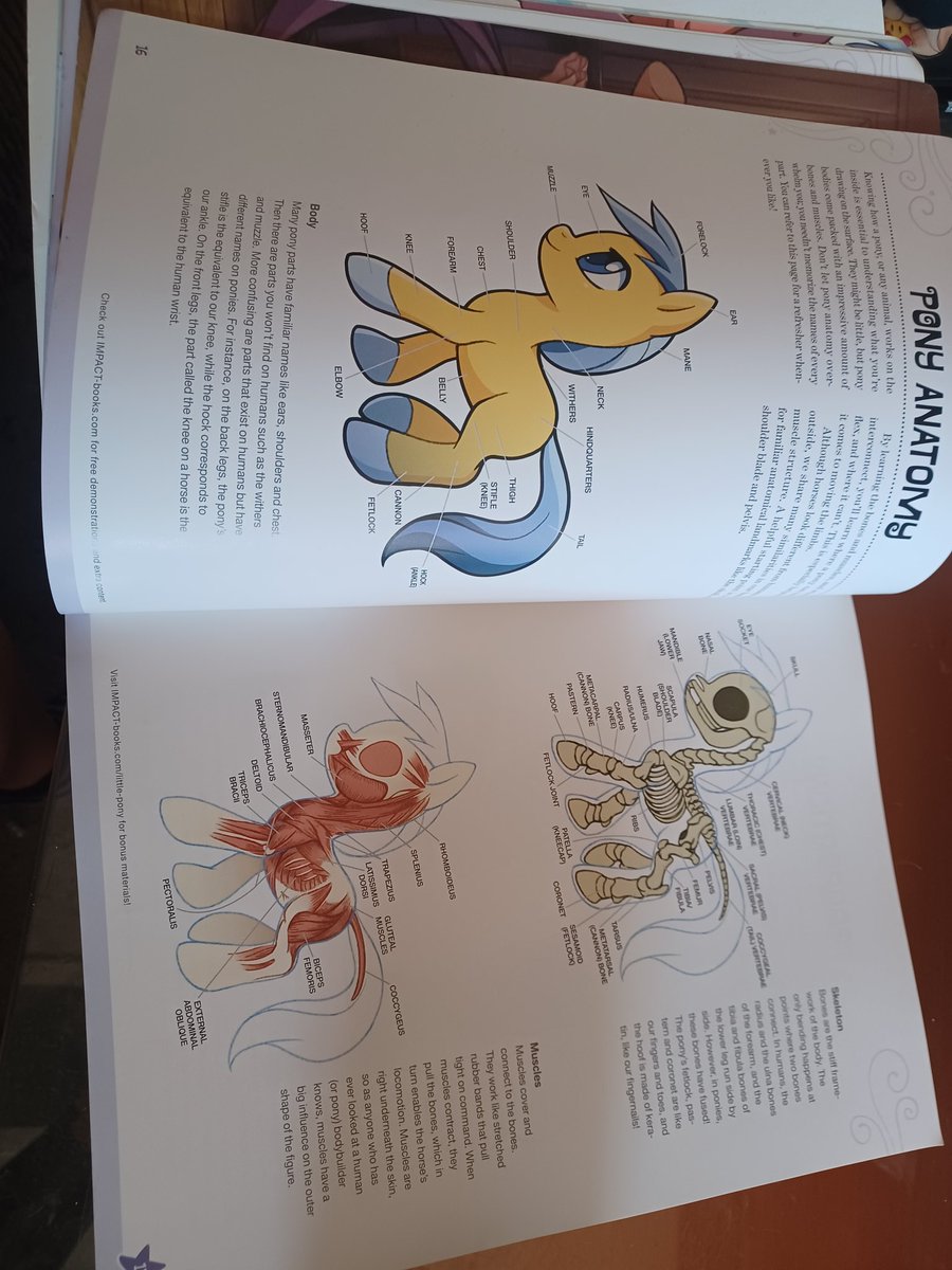 MsColorsplash's tweet photo. It's hard to show everything but I picked some of my favs, and ones that seem super helpful! don't get me wrong this book actually has alot of great advice that I honestly may start using myself. Go support the author @lcibos ! https://t.co/txqzFhBdLG