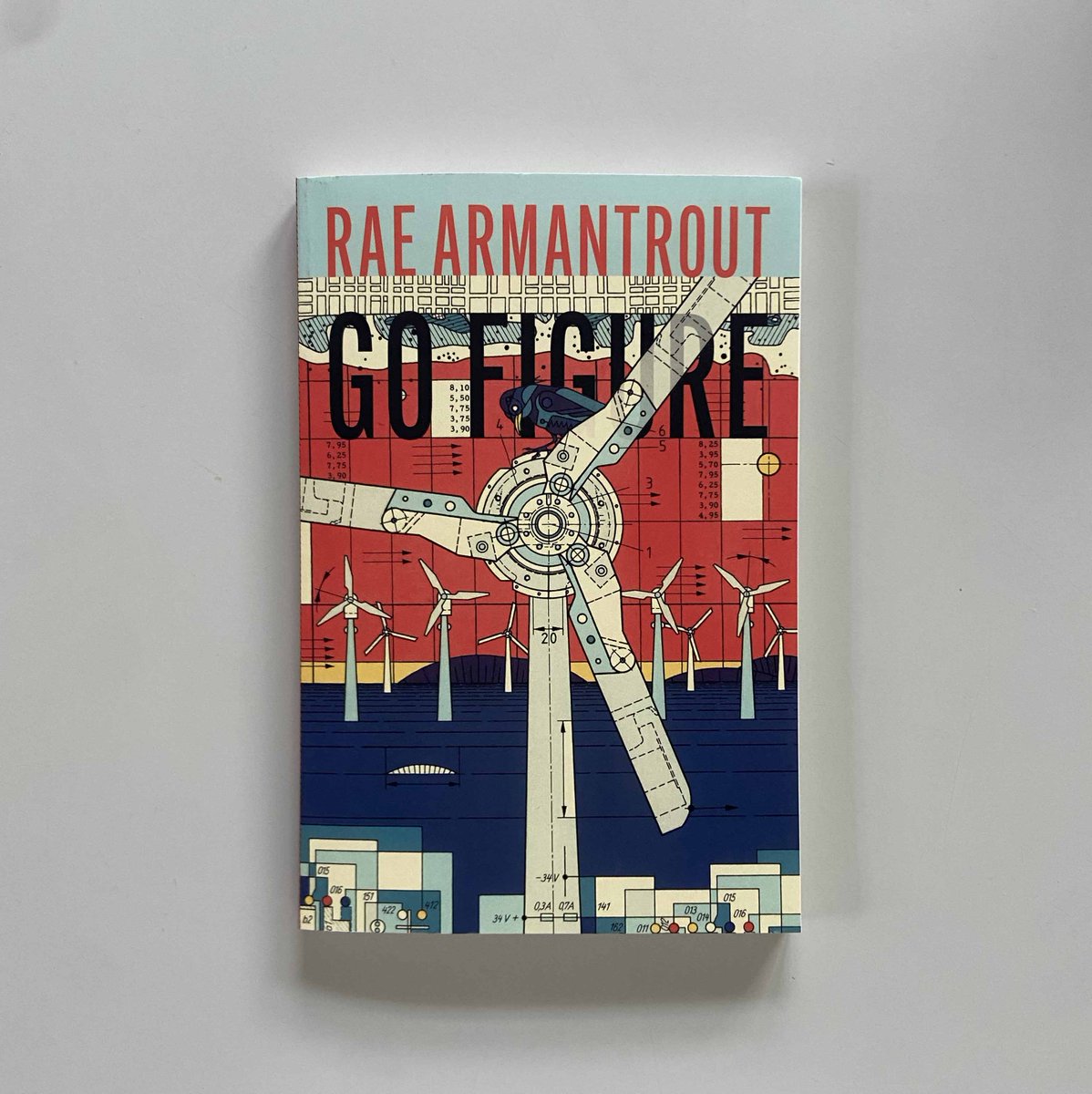 weslpress's tweet image. Armantrout "continues to address the important conversations in her unique way in poems that can be read over and over."
—Aiden Hunt, 'On the Seawall' (ronslate.com)
#raearmantrout #newpoetry #fall24 @Raea100900Rae @On_The_Seawall @P_Aiden_Hunt