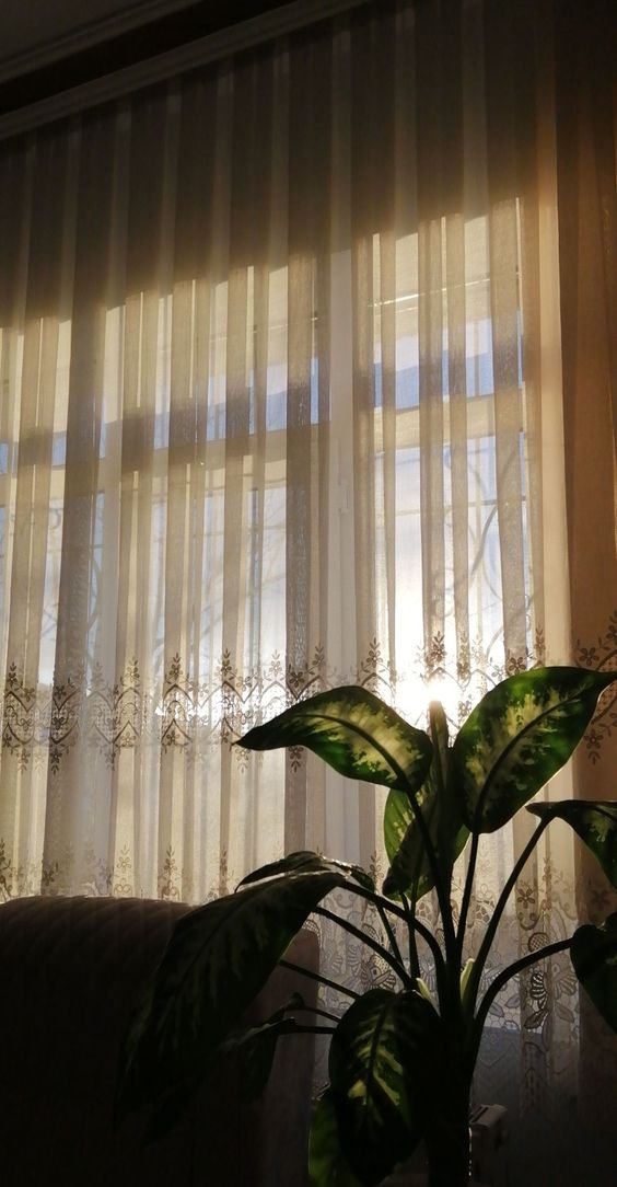 que lindo se ve el sol desde mi ventana