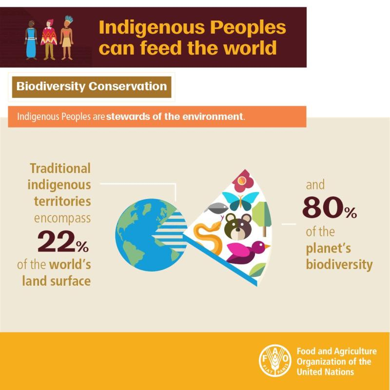 <a href="/FAO/">Food and Agriculture Organization</a> promotes policies that recognize the value of #IndigenousPeoples ' traditional knowledge, food systems, and territorial management practices to achieve the Sustainable Development Goals.

Learn more 👉 fao.org/policy-support…