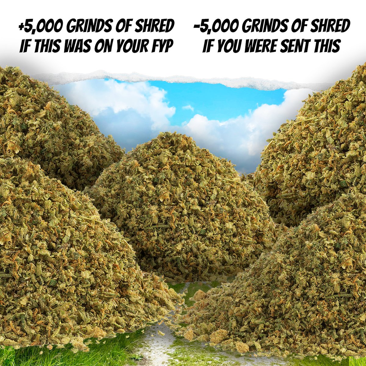 +1,000,000 grinds of SHRED if you like this before your friends. ‌