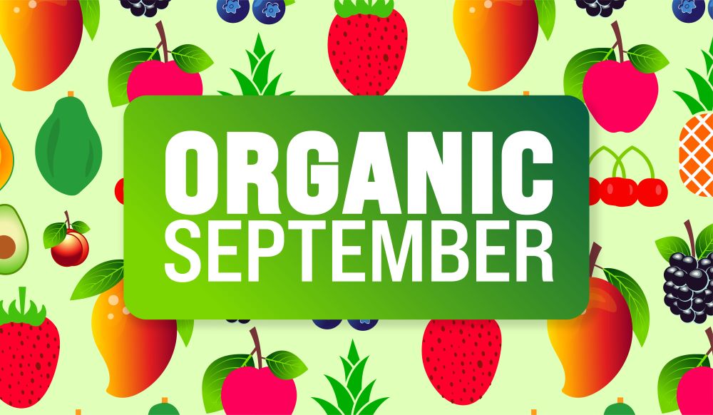 This month is #OrganicSeptember, which is all about celebrating better food choices. Together with our catering partner, we actively encourage more organic choices through our menus designed with people and planet in mind 💚.

Explore our seasonal recipes eicc.co.uk/organising/our…