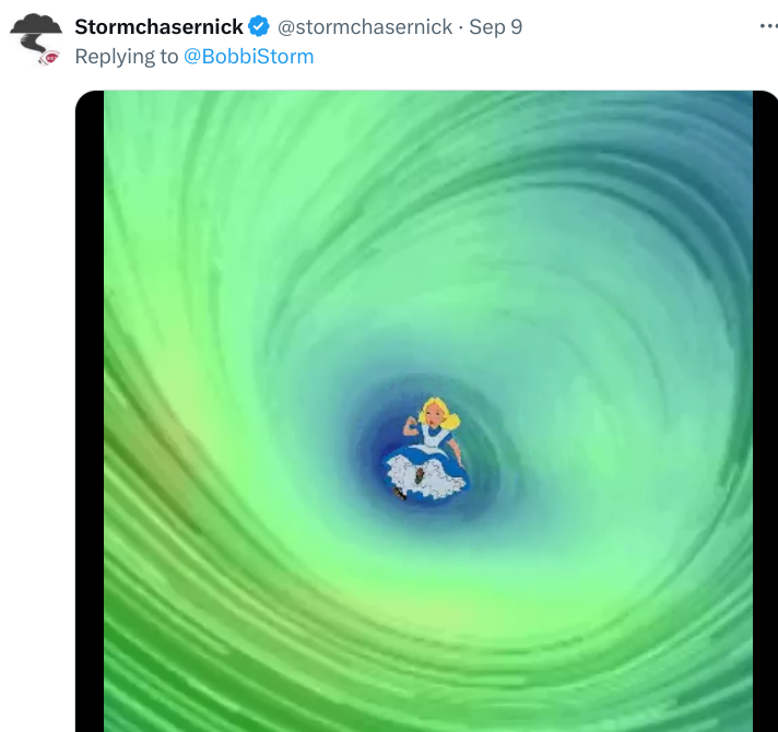 BobbiStorm's tweet image. For those that can read long, keep reading. Otherwise the blog is always free bobbistorm.com 
"This Blog is mostly about Francine.
From ULL to Blob to The Wave.
Now the question remains....

Does a new storm develop from her DNA...
...and her remnant rain in ATL off SE