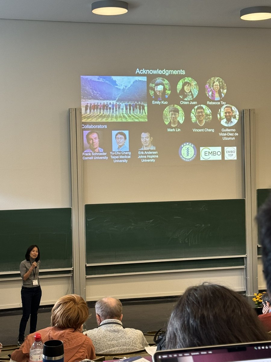 Marisela Garduño-Rosales tweet media