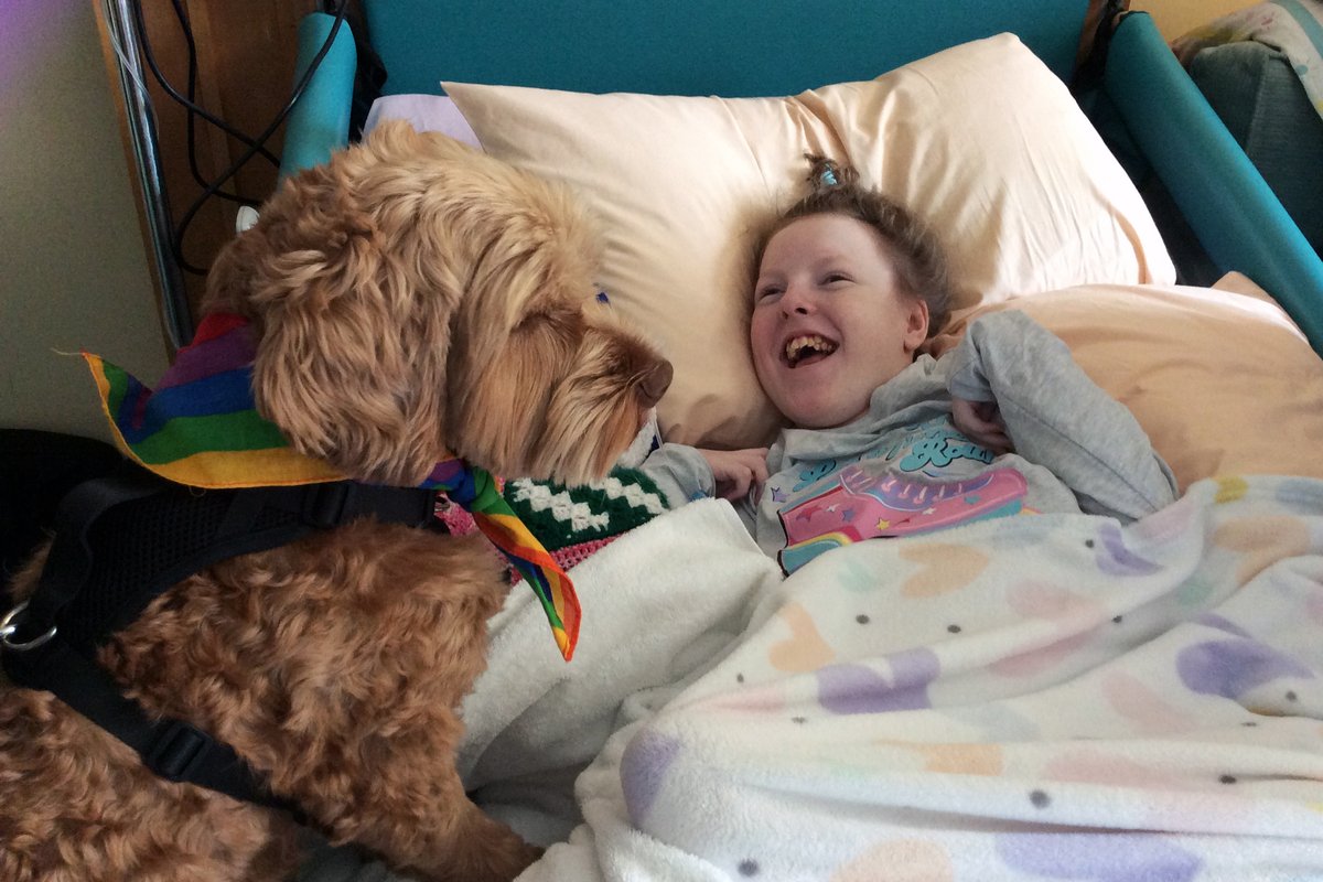 supportCHAS's tweet photo. Meet Ford, the newest therapet at Robin House! ๐พ
He visits the kids every Thursday, bringing smiles and joy to everyone at the hospice. Thanks for joining the team, Ford! โค๏ธ๐ถ
#RobinHouse #TheraPet #Keepthejoyalive https://t.co/KR8gGQIzhh