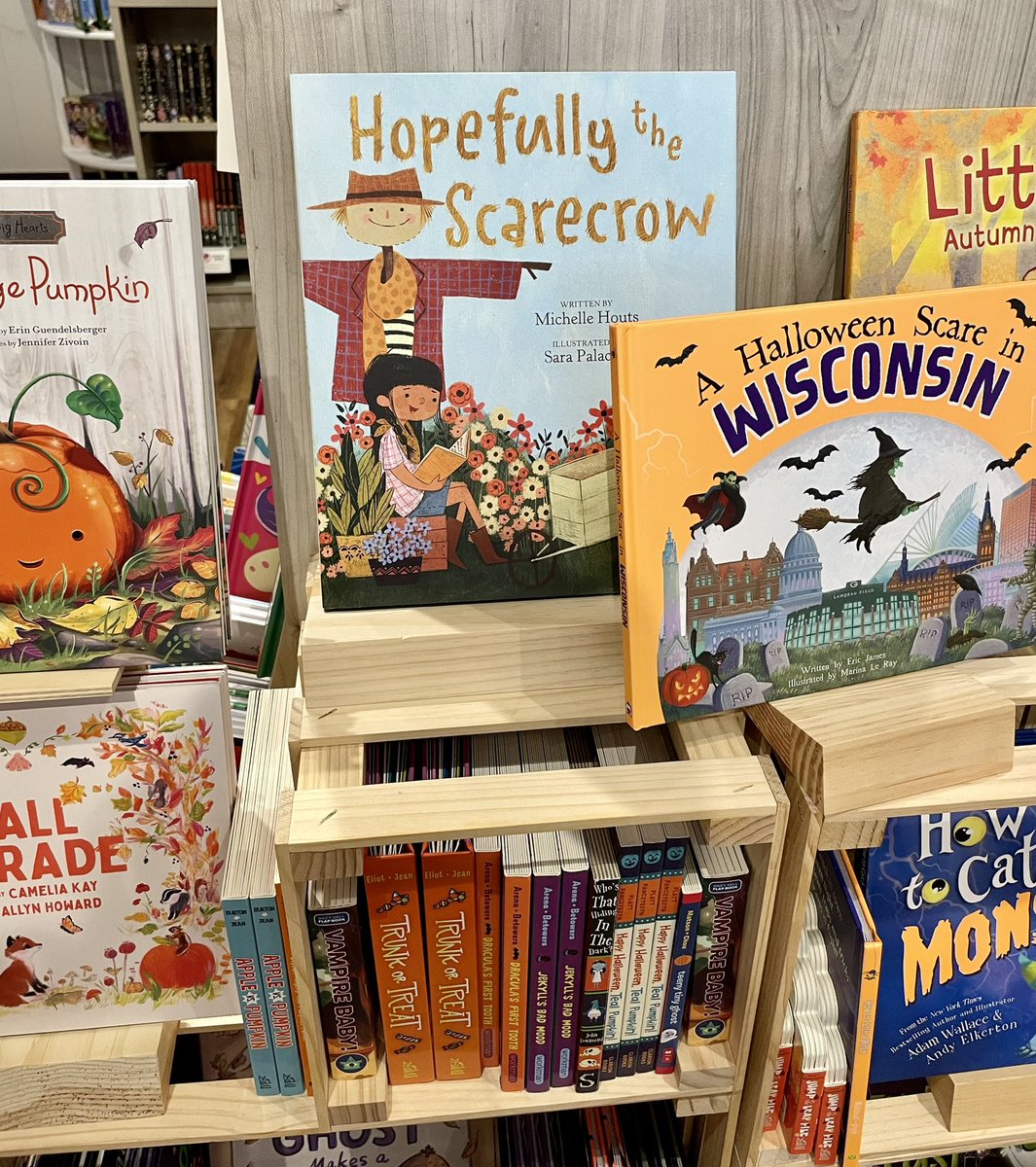 It is always fun to see author friends’ books in the wild! HOPEFULLY THE SCARECROW by @mhoutswrites was at the top of a fall display at the amazing Blue House Books in Kenosha, WI.