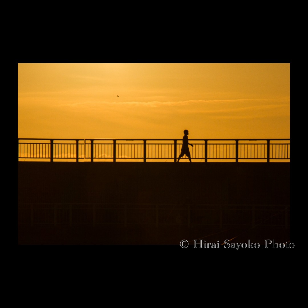 Frui2_frufru's tweet photo. I love Japanese sunsets. 関西の夕暮れ #urbanromantix #streets_unseen #streetgrammers #spicollective #raw_japan #photoart #life_is_street #art_of_japan_ #osaka #sunsets #ファインダー越しのわたしの世界 #cityscapes #OLYMPUS https://t.co/c7dFOKdPog