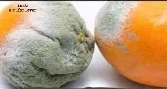 medhatabdallah's tweet image. Never stay close to #toxic #people, they’re #contagious.