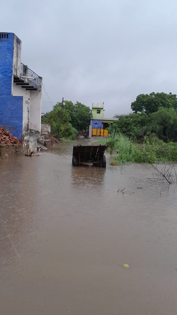 adityasinghcs12's tweet photo. ये कोई तालाब या नदी नही है 
ये गाँव चौकडा पोस्ट दरवे तहसील मांट जिला मथुरा उत्तर प्रदेश की सड़के है जो बारिश आने के बाद इस तरह की हो जाती है इसका निदान कैसे होगा? @myogiadityanath @CMOfficeUP @PMOIndia @yadavakhilesh @INCIndia @AamAadmiParty https://t.co/OdPdIiRZ27
