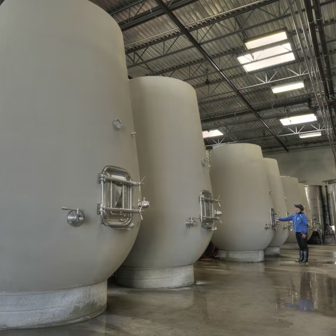 Concrete fermentation, some of Ontario’s top producers are using this method... why?  Fermenting wine in concrete offers excellent thermal stability and micro-oxygenation without adding flavors, allowing the grape’s natural characteristics to shine and enhancing minerality.
