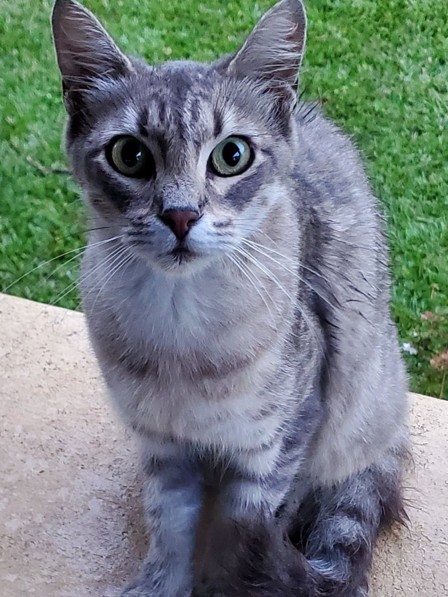 Johnny (G) Scott ™ 🤪 tweet media