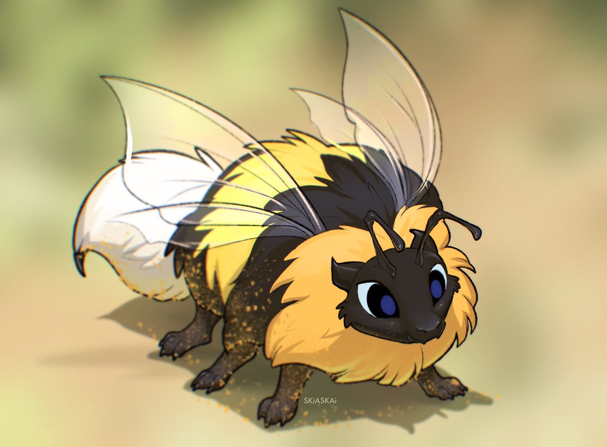 SkiaSkai @ BSKY tweet media