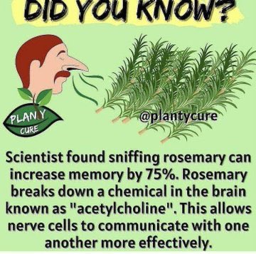 Farmer,Till, I die or get Disappeared tweet media