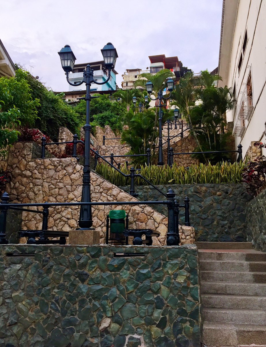 OriginalEcuador's tweet photo. Explore Guayaquil, one of Ecuador’s vibrant coastal cities! Wander the scenic Malecón along the Guayas River, visit iconic churches, and immerse yourself in the bohemian charm of Las Peñas. Discover Gye where modern meets colonial in this dynamic southern gem 🙌🏼🇪🇨

#Guayaquil https://t.co/8VynSHavY0