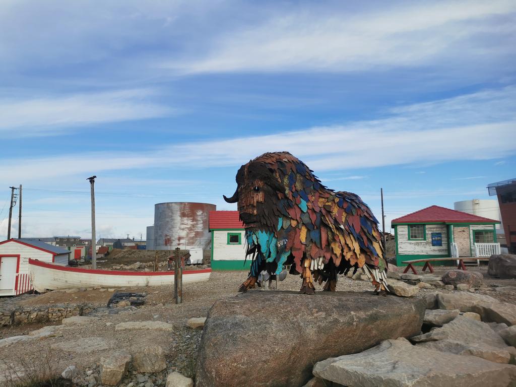 vickyinglis13's tweet photo. Muskox sculpture in Cambridge Bay, Nunuvut. Made from scrap metal by a local youth arts association #NorthWestPassage #PolarGuide https://t.co/dZUOwkk5au