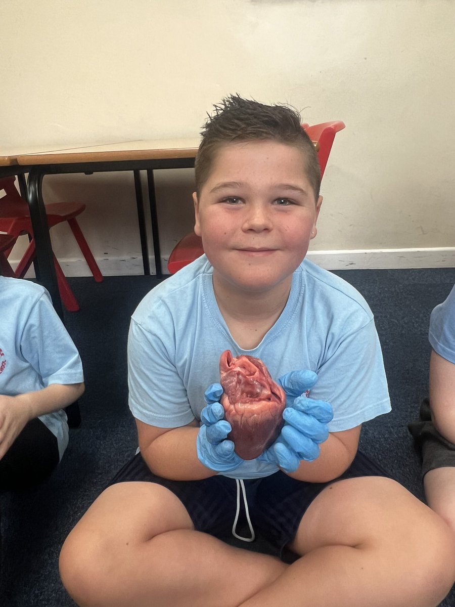 Miss Rowbottom (Y5/6) tweet media