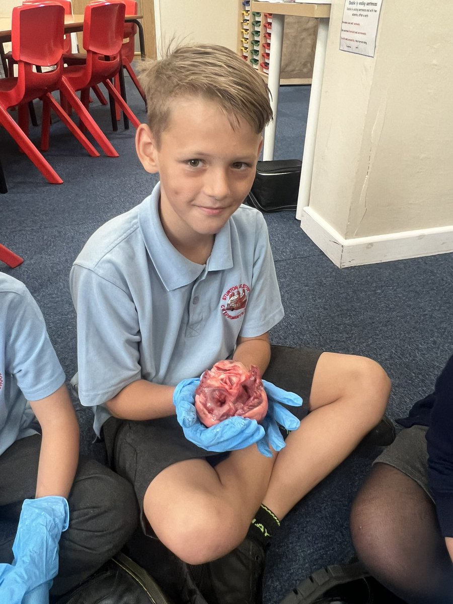 Miss Rowbottom (Y5/6) tweet media