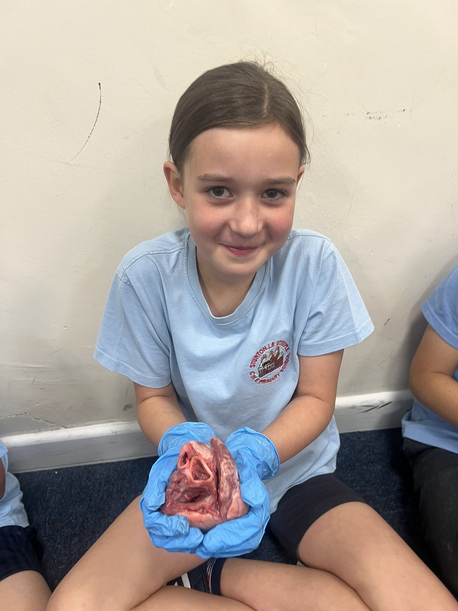 Miss Rowbottom (Y5/6) tweet media