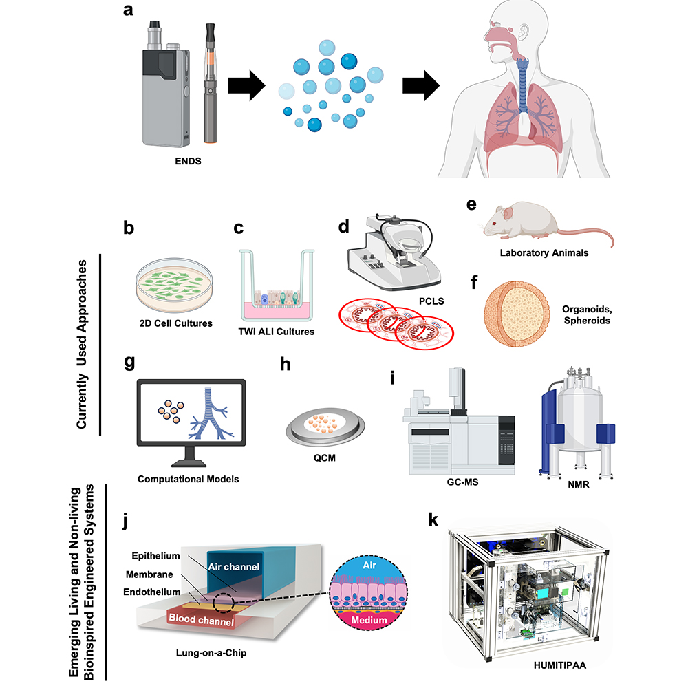 A Review in <a href="/CommsEng/">Communications Engineering</a> underscores the vital role of technology-based platforms in assessing the respiratory toxicity of electronic nicotine delivery systems, empowering regulatory agencies to enhance tobacco product oversight and protect public health. go.nature.com/3z4mNoU