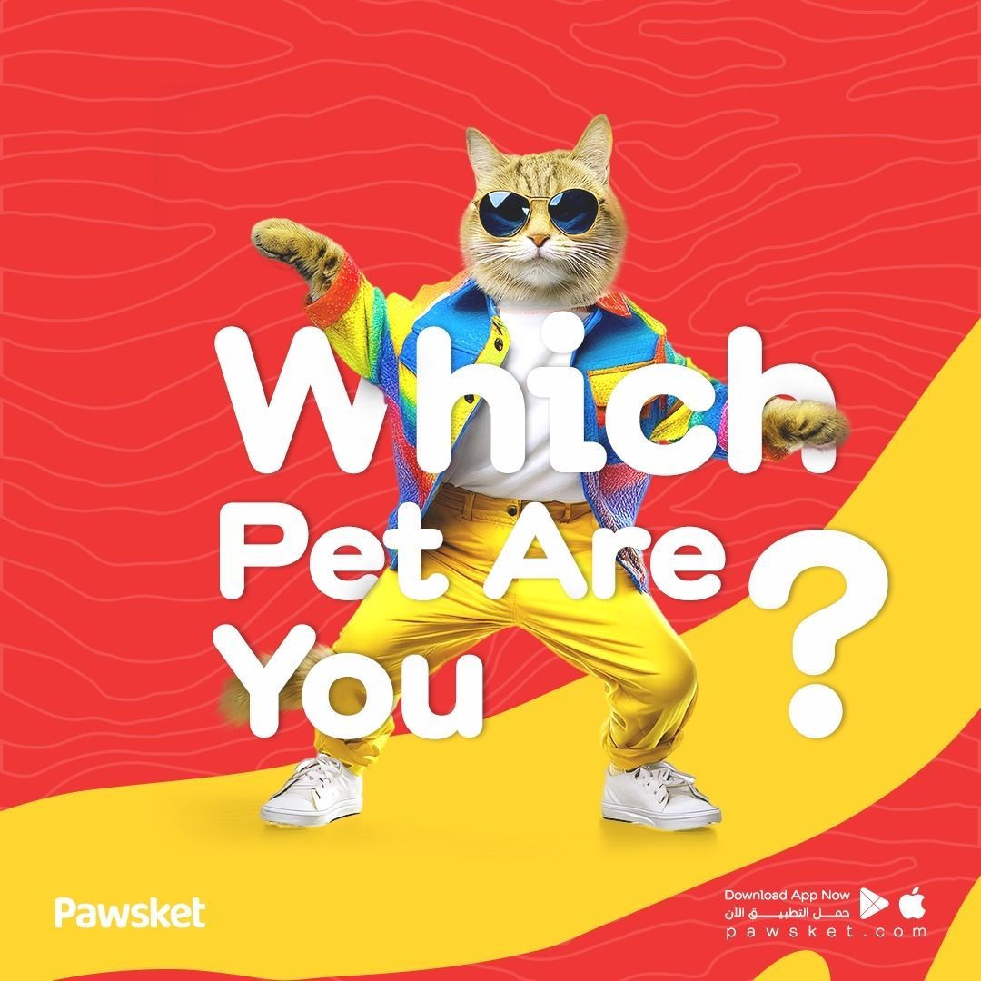 pawsket's tweet photo. 🐾 Pet Personality Quiz! 🐾 If you could be any pet for a day, which would you choose and why? 🐕🐱 Comment below with your choice and tell us why it suits you best! Let’s see which pets are most popular in our Pawsket community! ❤️ 
#PawsketQuiz #PetPersonality https://t.co/ODTrZqYibD