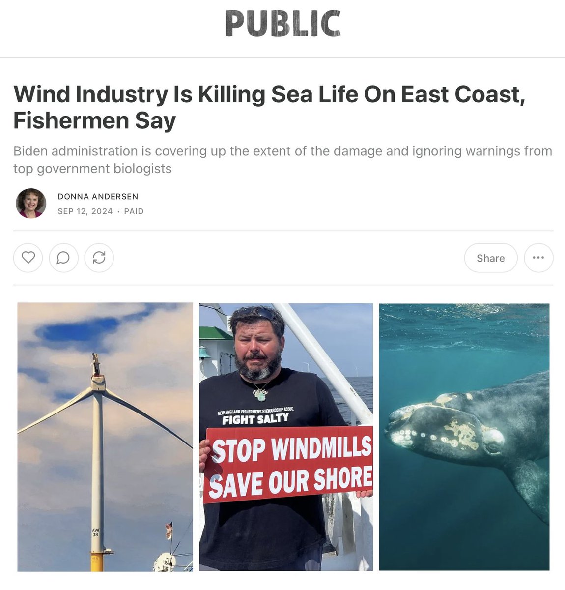 The wind industry says it's good for the environment. But biologists warn it could make a whale species extinct. In July, a fiberglass turbine shattered and forced the closure of beaches. And now, a bombshell new report finds that the wind industry is decimating sea life.