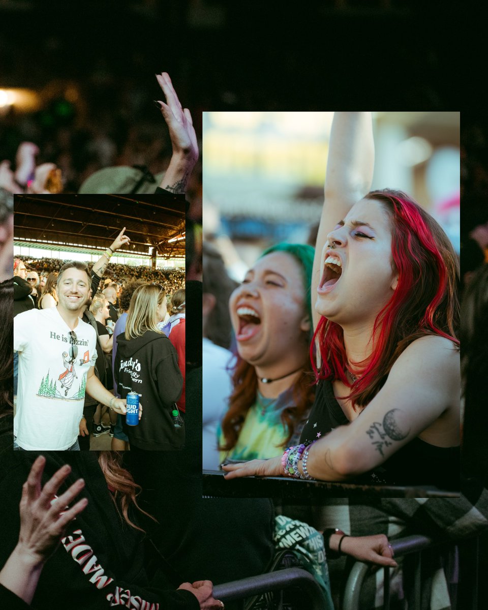 IsForLoversFestival tweet media