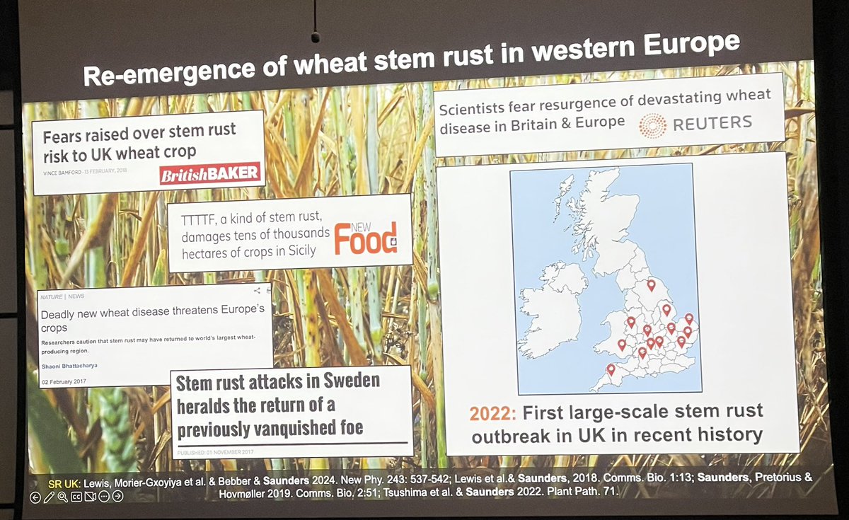 Sophien Kamoun (@kamounlab) on Twitter photo And now it’s the 2024 RKS Wood Award Lecture at #PPATH24 with a masterclass by Diane Saunders <a href="/Saunders_Lab/">Diane Saunders</a>
Diane pioneered field pathogenomics to rapidly determine the identity of emerging plant pathogens And now it’s the 2024 RKS Wood Award Lecture at #PPATH24 with a masterclass by Diane Saunders <a href="/Saunders_Lab/">Diane Saunders</a>
Diane pioneered field pathogenomics to rapidly determine the identity of emerging plant pathogens