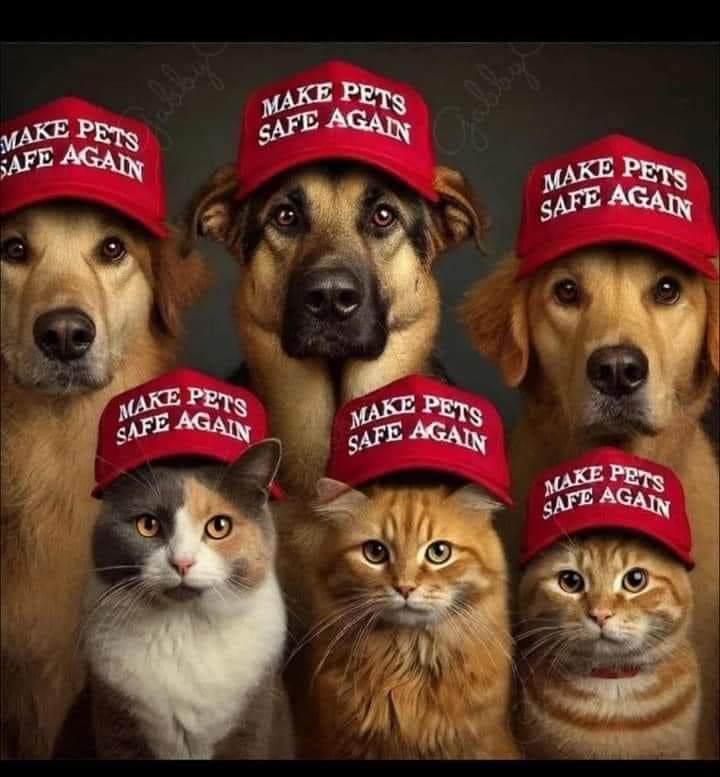 pixiepolice's tweet image. 