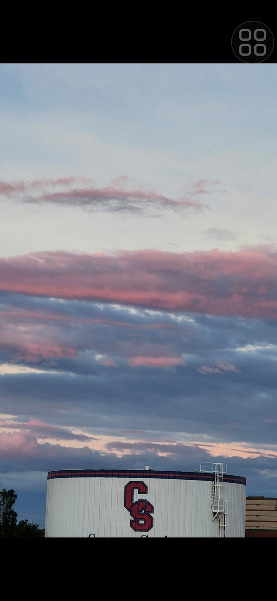 MylesHamilton tweet media