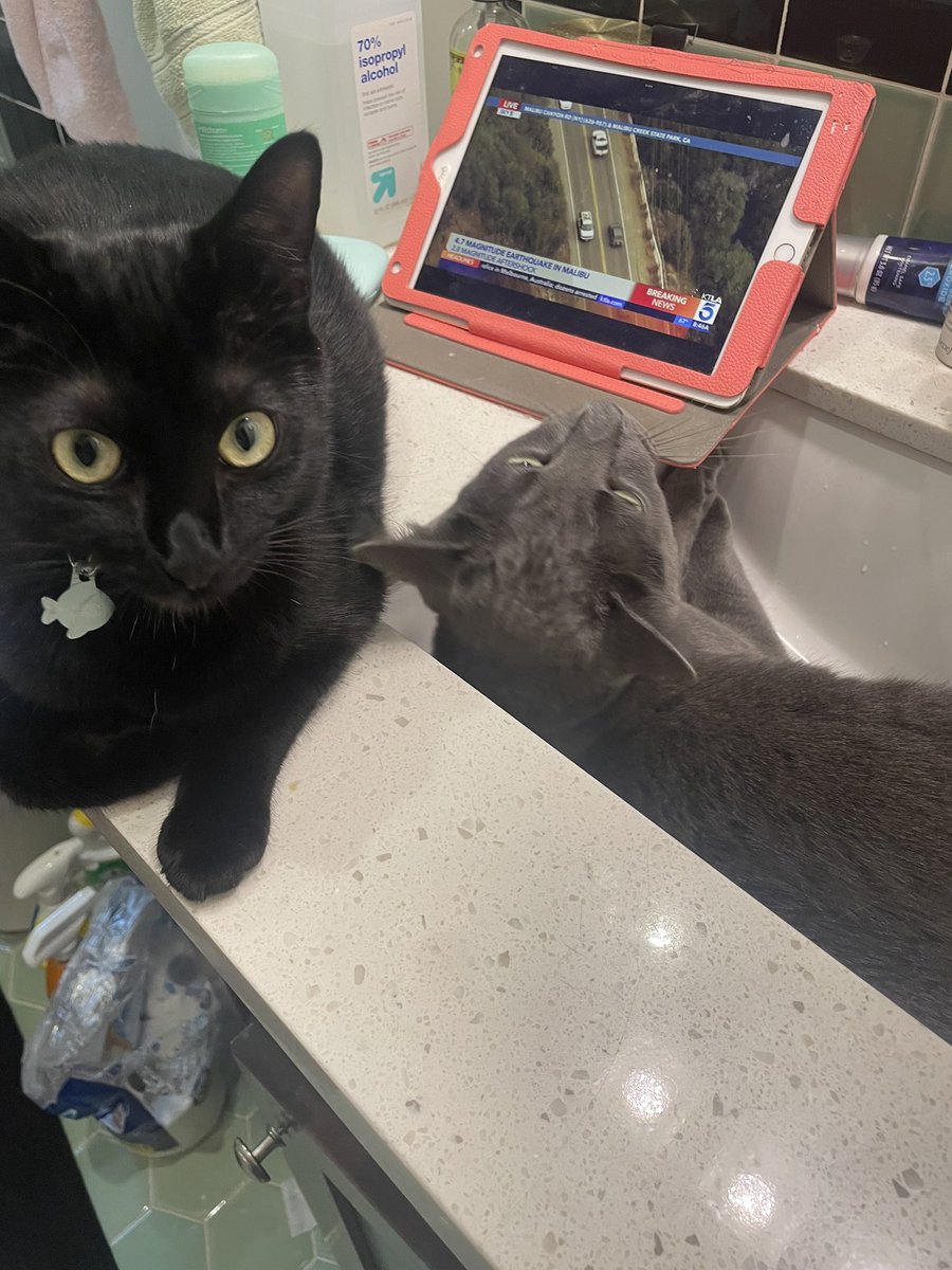 Samantha Mehlinger tweet media