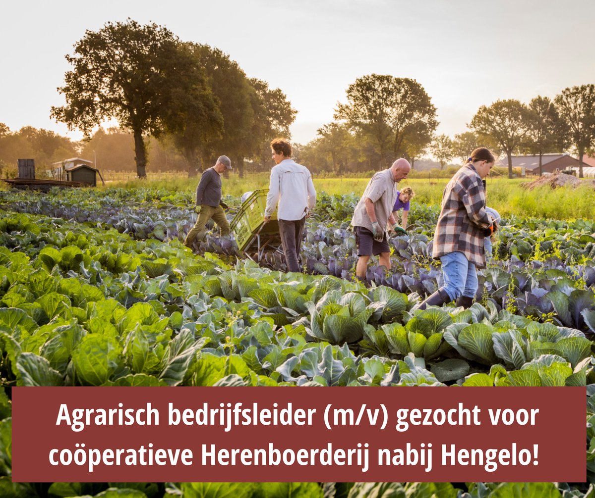 #vacature! 👩‍🌾💚 𝗕𝗼𝗲𝗿-𝗯𝗲𝗱𝗿𝗶𝗷𝗳𝘀𝗹𝗲𝗶𝗱𝗲𝗿 (m/v) gezocht in Twente nabij #Borne, in loondienst! Herenboeren Oale Esch zoekt per 2025 een full-time boer-bedrijfsleider ➡ herenboeren.nl/boer-oale-esch…