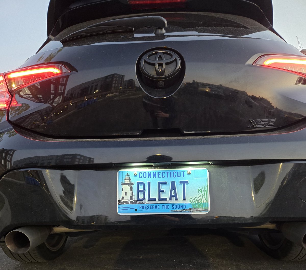 Your girl did the most deer brained thing 🦌

Now everyone knows I'm a dumb doe