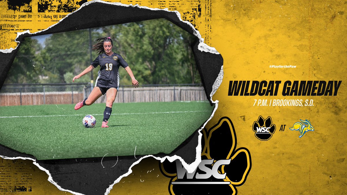 Wayne State Wildcats tweet media