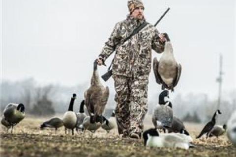 dennly109's tweet photo. #𝐈𝐦𝐦𝐢𝐠𝐫𝐚𝐭𝐢𝐨𝐧: Dosye #Springfield la pa sispann chanje , li sòti nan chat li rive nan chen, Jodi a deba chita sou “Geese” paske li trè pwobab gen evidans gen yon rezidan ki te repòte li wè 2 fanm ak 2 gason yo chak yon “Goose” nan men yo. 

Bon! Ann antre nan dosye a. Eske manje Geese se peche? Non. Banm pale nou de “goose” ki se sengilye ki gen pou pliryèl “Geese”.

Geese se Zwa, yon bèt ki tèlman gen valè yo fè pwovèb sou li kòmkwa manje zwa se zafè moun ki gen lajan. An pasan, pa gen bèt sa nan tout rakwen an Ayiti okontrè se yon espès ki ra anpil pou sa nou konnen.

Zwa / Goose gen anpil fanmi tankou kana, yon banm lòt bèt bèk laj. Pou m klè ak nou, ayisyen pa menm renmen kana menm paske yo fè esperyans vyann kana fad konsa anpil #Ayisyen pa manje li epi nou pa gen yon bon listwa ak Kana paske yo salòp anpil epi yo saf, vale larim pase yo nan pwen! Hekkk! Jan pwovèb lan di l lan tèt kanna pa monte tab.

✔️ La, banm vini sou vrè mesaj m vle fè pase a, isi #Etazini tout bagay gen prensip, menm mabouya ou wè atè a gen fason pou trete l pou m pa twò ekzajere. 

✔️Yo chase “Geese” nan #Ohio men se pa sa ki nan plas piblik yo, fòk ou gen yon lisans pou sa, genyen yon epòk pou sa, genyen yon kantite ou kapab chase tou. Tout bagay yo sou kontwòl se pa tankou ou pran fistibal ou tonbe tire ramye, pa ekzanp “Eagle”ki se yon gwo senbòl pou ameriken bèt sa yo se chapo ba! Si w pouse youn yon kout wòch li mouri se $100.000 kòm amannn wap peye mete sou yon lane prizon.

✔️ Li mande anpil jefò pou entegre nou pa bò isi paske nou nan yon peyi ki chita sou prensip, toutan map di nou sa. Lè w wè yon nèg pandye sou yon pon ap peche pwason li gen yon lisans pou sa, gen lisans pou antre nan yon park pou touye kochon mawon ( Wid Boar) epi fè netwaye l pou ou paske anpil ameriken manje vyan sa paske l chaje ak pwoteyin. Tout se yon kesyon prensip. 

✔️ Se prensip ki fè peyi a gran paske yon peyi ki chaje ak moun ki sòti tout kote, si tout moun tap aplike tout ki sa ki pase lakay yo bò isi nou menm nou pa tap la tou paske lwa pwoteje tout moun. Mwen depi m bliye pèmi kondwi m m pap deplase san li paske se prensip. Pwovèb lan klè sou sa, si w nan vil Wòm ou dwe konpòte w tankou women. 

👉 Pa néglige pataje sa yo ak lot paske pa gen moun ki dwe ignore lalwa, paske di w pat konn lalwa pap fè yo pa boure w nan prizon pou sa. 

#Entegration #Haitians