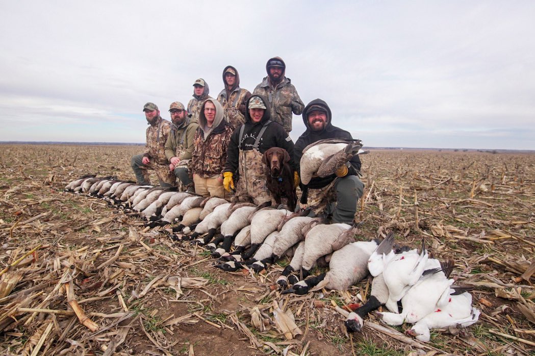 dennly109's tweet photo. #𝐈𝐦𝐦𝐢𝐠𝐫𝐚𝐭𝐢𝐨𝐧: Dosye #Springfield la pa sispann chanje , li sòti nan chat li rive nan chen, Jodi a deba chita sou “Geese” paske li trè pwobab gen evidans gen yon rezidan ki te repòte li wè 2 fanm ak 2 gason yo chak yon “Goose” nan men yo. 

Bon! Ann antre nan dosye a. Eske manje Geese se peche? Non. Banm pale nou de “goose” ki se sengilye ki gen pou pliryèl “Geese”.

Geese se Zwa, yon bèt ki tèlman gen valè yo fè pwovèb sou li kòmkwa manje zwa se zafè moun ki gen lajan. An pasan, pa gen bèt sa nan tout rakwen an Ayiti okontrè se yon espès ki ra anpil pou sa nou konnen.

Zwa / Goose gen anpil fanmi tankou kana, yon banm lòt bèt bèk laj. Pou m klè ak nou, ayisyen pa menm renmen kana menm paske yo fè esperyans vyann kana fad konsa anpil #Ayisyen pa manje li epi nou pa gen yon bon listwa ak Kana paske yo salòp anpil epi yo saf, vale larim pase yo nan pwen! Hekkk! Jan pwovèb lan di l lan tèt kanna pa monte tab.

✔️ La, banm vini sou vrè mesaj m vle fè pase a, isi #Etazini tout bagay gen prensip, menm mabouya ou wè atè a gen fason pou trete l pou m pa twò ekzajere. 

✔️Yo chase “Geese” nan #Ohio men se pa sa ki nan plas piblik yo, fòk ou gen yon lisans pou sa, genyen yon epòk pou sa, genyen yon kantite ou kapab chase tou. Tout bagay yo sou kontwòl se pa tankou ou pran fistibal ou tonbe tire ramye, pa ekzanp “Eagle”ki se yon gwo senbòl pou ameriken bèt sa yo se chapo ba! Si w pouse youn yon kout wòch li mouri se $100.000 kòm amannn wap peye mete sou yon lane prizon.

✔️ Li mande anpil jefò pou entegre nou pa bò isi paske nou nan yon peyi ki chita sou prensip, toutan map di nou sa. Lè w wè yon nèg pandye sou yon pon ap peche pwason li gen yon lisans pou sa, gen lisans pou antre nan yon park pou touye kochon mawon ( Wid Boar) epi fè netwaye l pou ou paske anpil ameriken manje vyan sa paske l chaje ak pwoteyin. Tout se yon kesyon prensip. 

✔️ Se prensip ki fè peyi a gran paske yon peyi ki chaje ak moun ki sòti tout kote, si tout moun tap aplike tout ki sa ki pase lakay yo bò isi nou menm nou pa tap la tou paske lwa pwoteje tout moun. Mwen depi m bliye pèmi kondwi m m pap deplase san li paske se prensip. Pwovèb lan klè sou sa, si w nan vil Wòm ou dwe konpòte w tankou women. 

👉 Pa néglige pataje sa yo ak lot paske pa gen moun ki dwe ignore lalwa, paske di w pat konn lalwa pap fè yo pa boure w nan prizon pou sa. 

#Entegration #Haitians