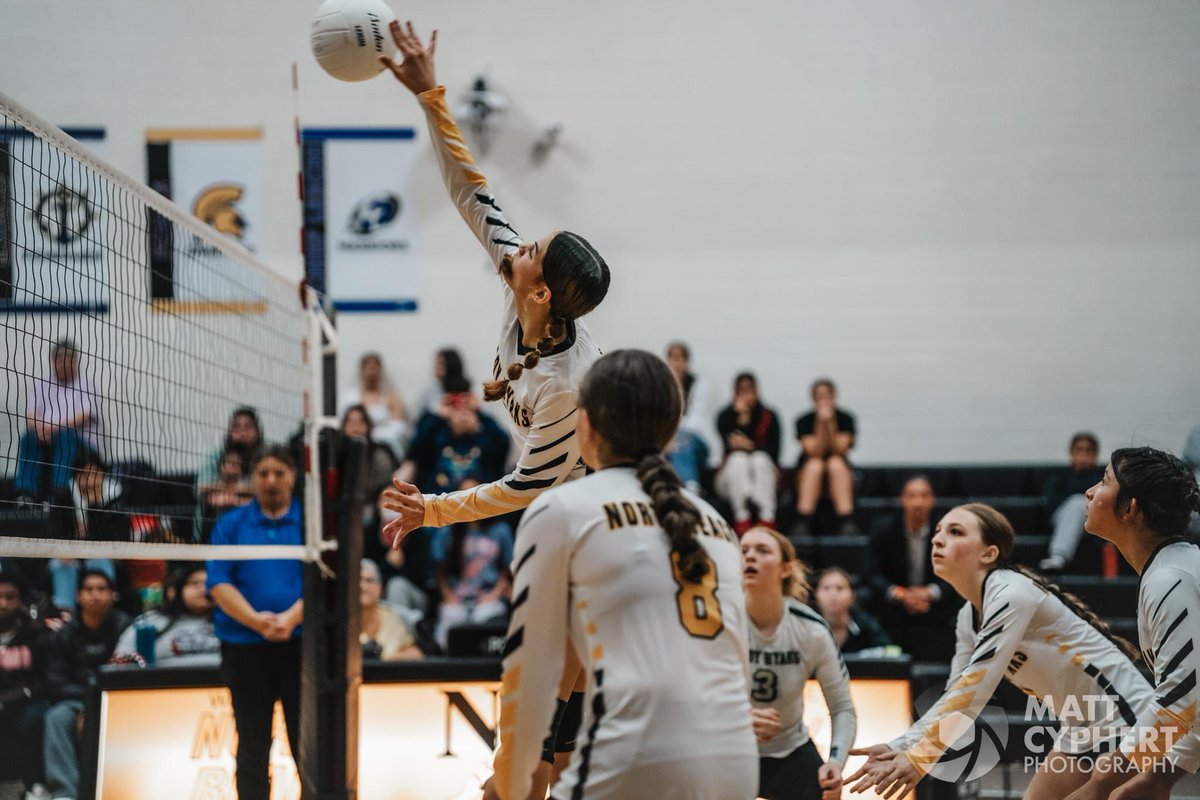 mtpstudios's tweet image. Lady Hyaks.