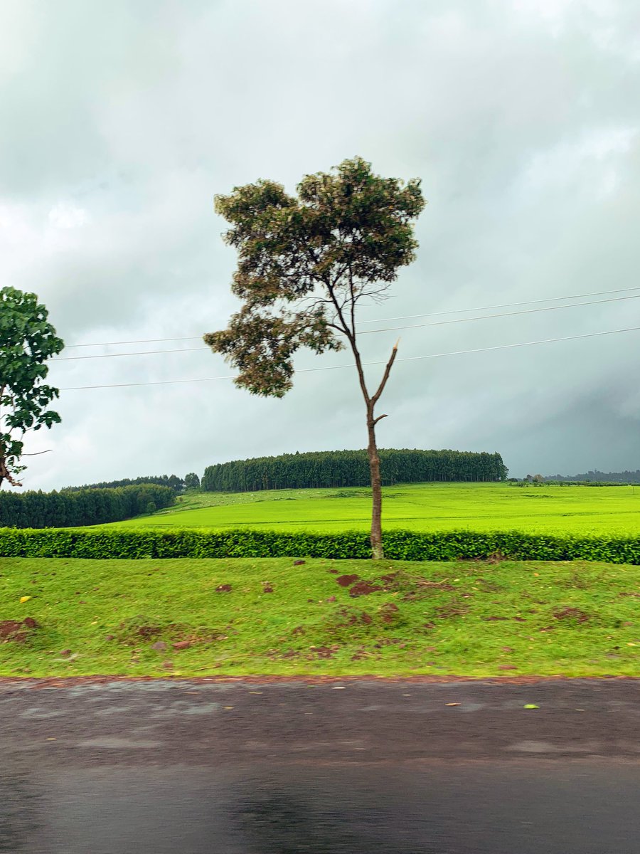 call_me_arki's tweet photo. 📍KERICHO. 🇰🇪 https://t.co/mKDelCSrD4